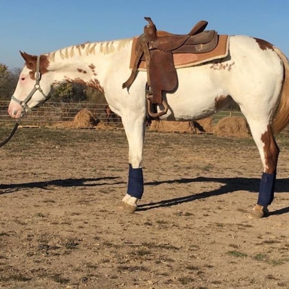 Meet your Posher, Melanie